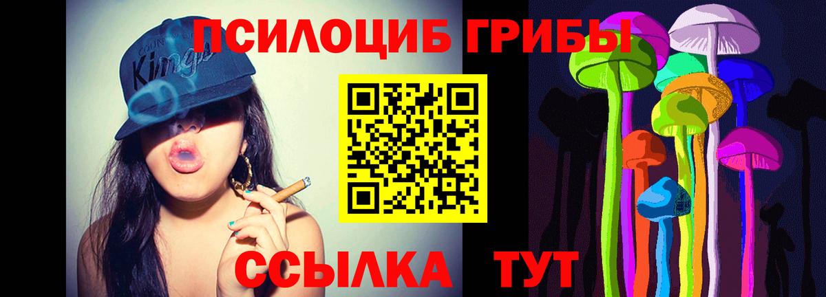 купить наркотик  Вход с VPN  Алексин  Псилоцибиновые грибы прущие грибы 